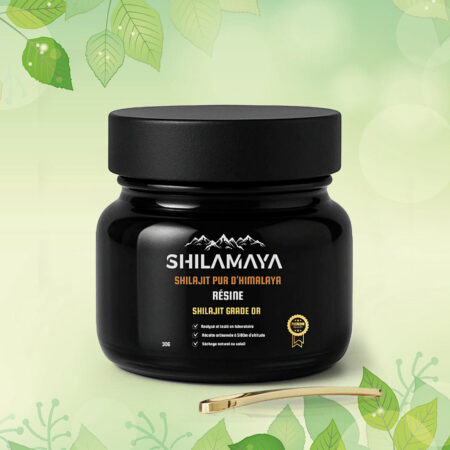 Shilajit pur de l'Himalaya
