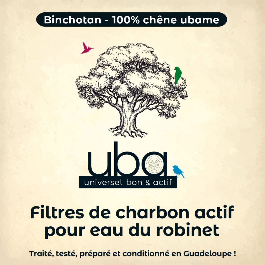 Filtre charbon actif BINCHOTAN – Image 8