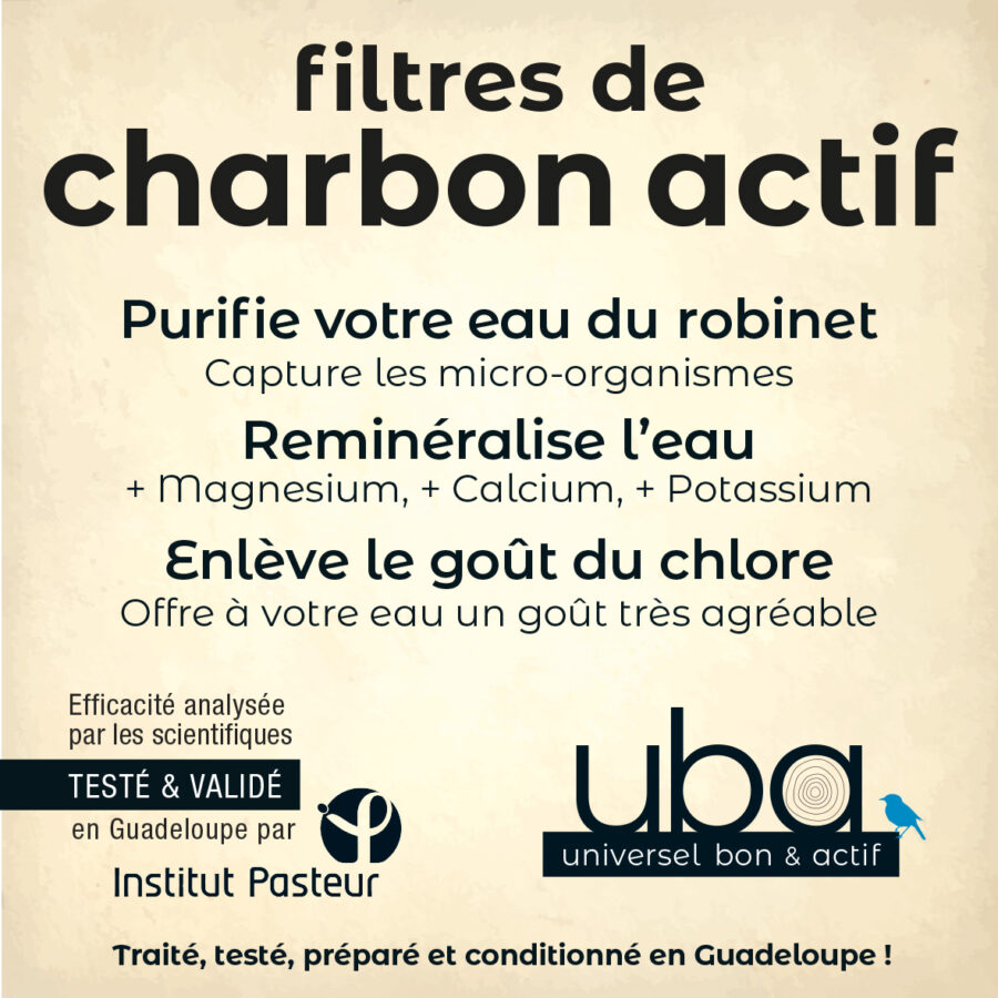 Filtre charbon actif BINCHOTAN – Image 9