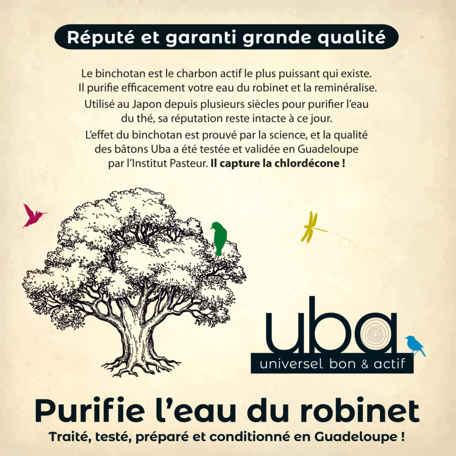Filtre charbon actif BINCHOTAN – Image 10