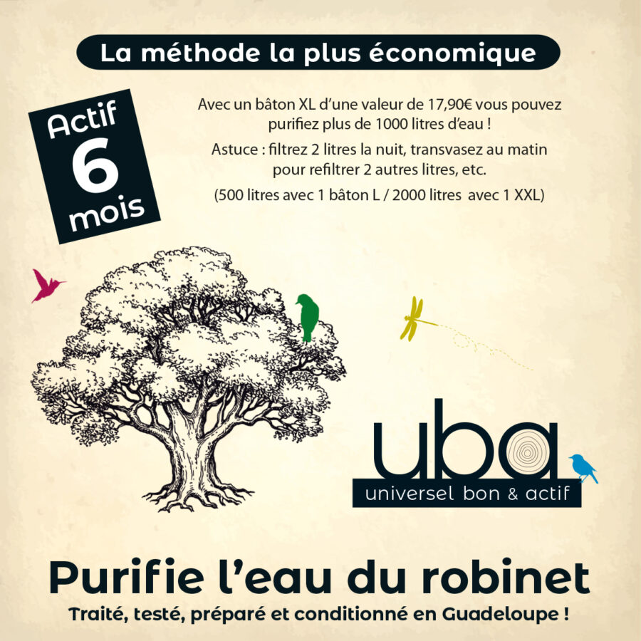 Filtre charbon actif BINCHOTAN – Image 11