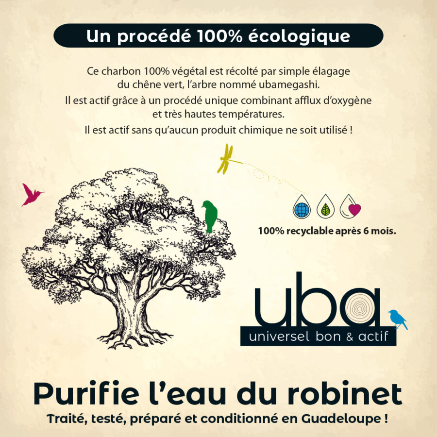 Filtre charbon actif BINCHOTAN – Image 12