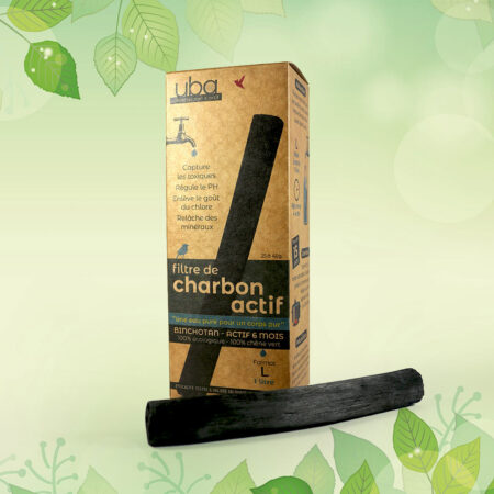 Filtre charbon actif BINCHOTAN